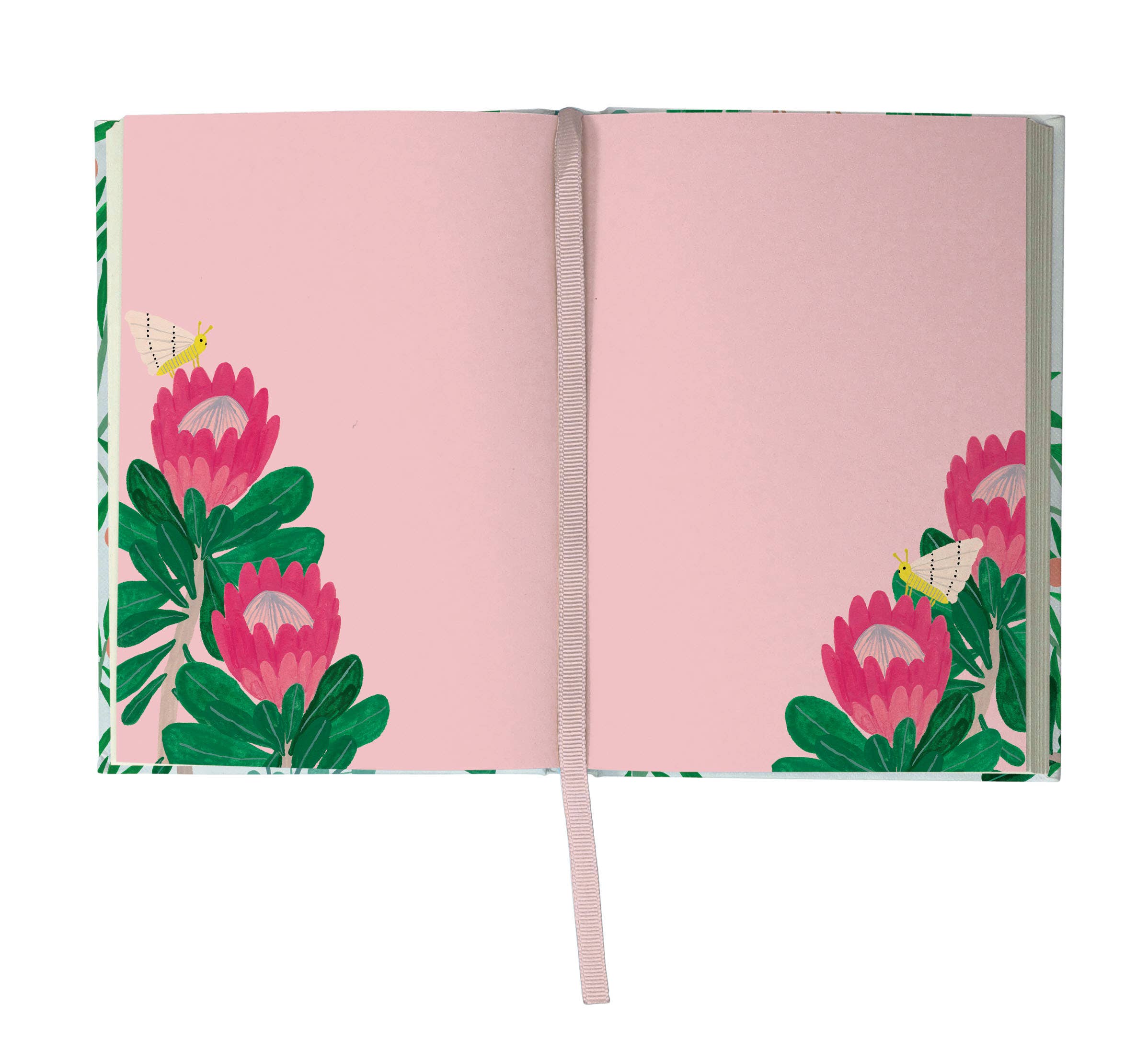 King Protea Illustrated journal