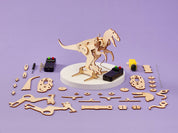 Dinosaur Robot DIY Craft Kit