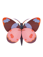 Bellissima Butterfly - 3D DIY Wall Art Kit