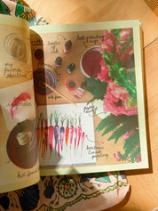 50 Ways to Draw Your Beautiful, Ordinary Life