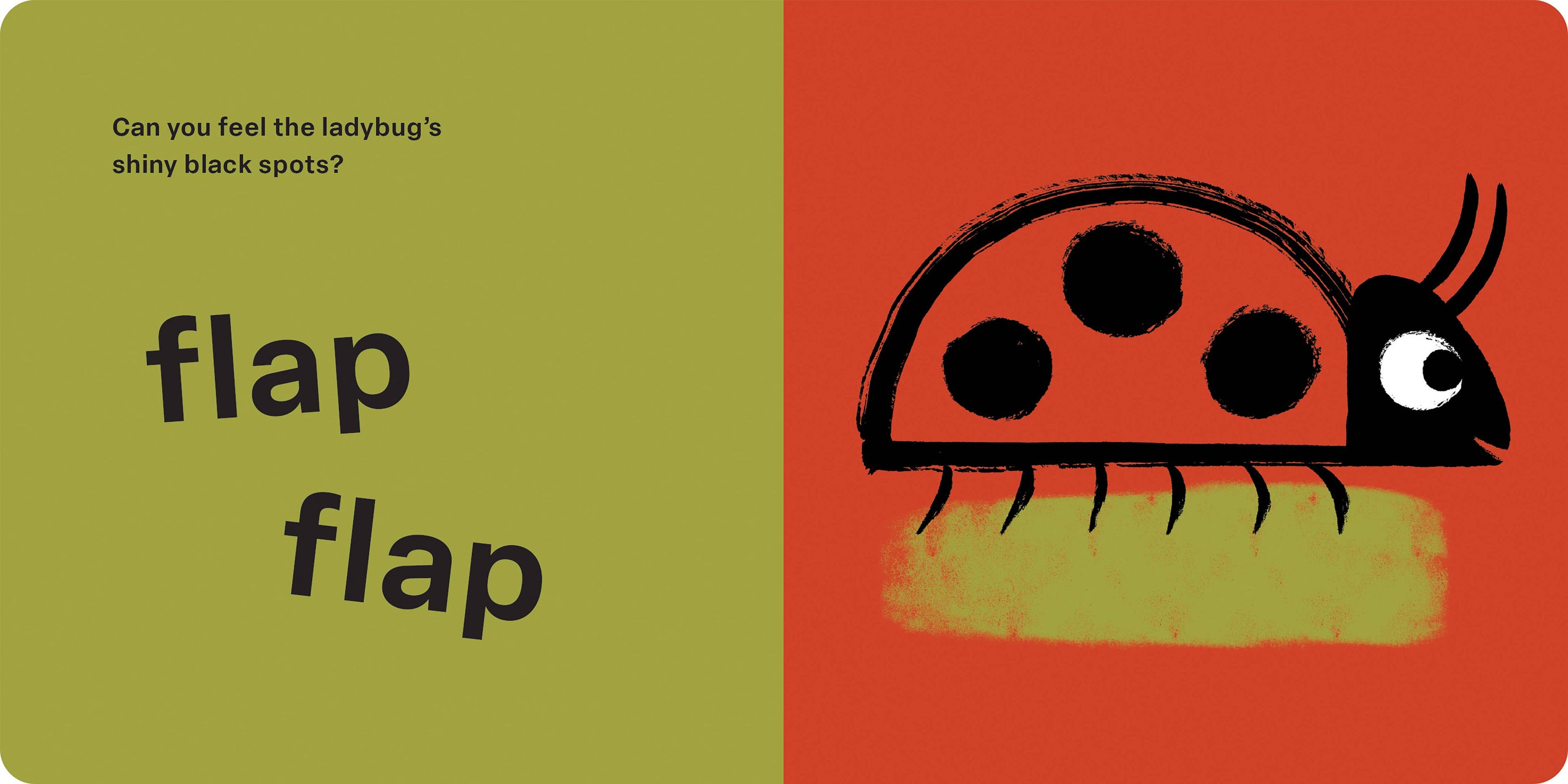 Bugs: Spring Street Touch and Feel