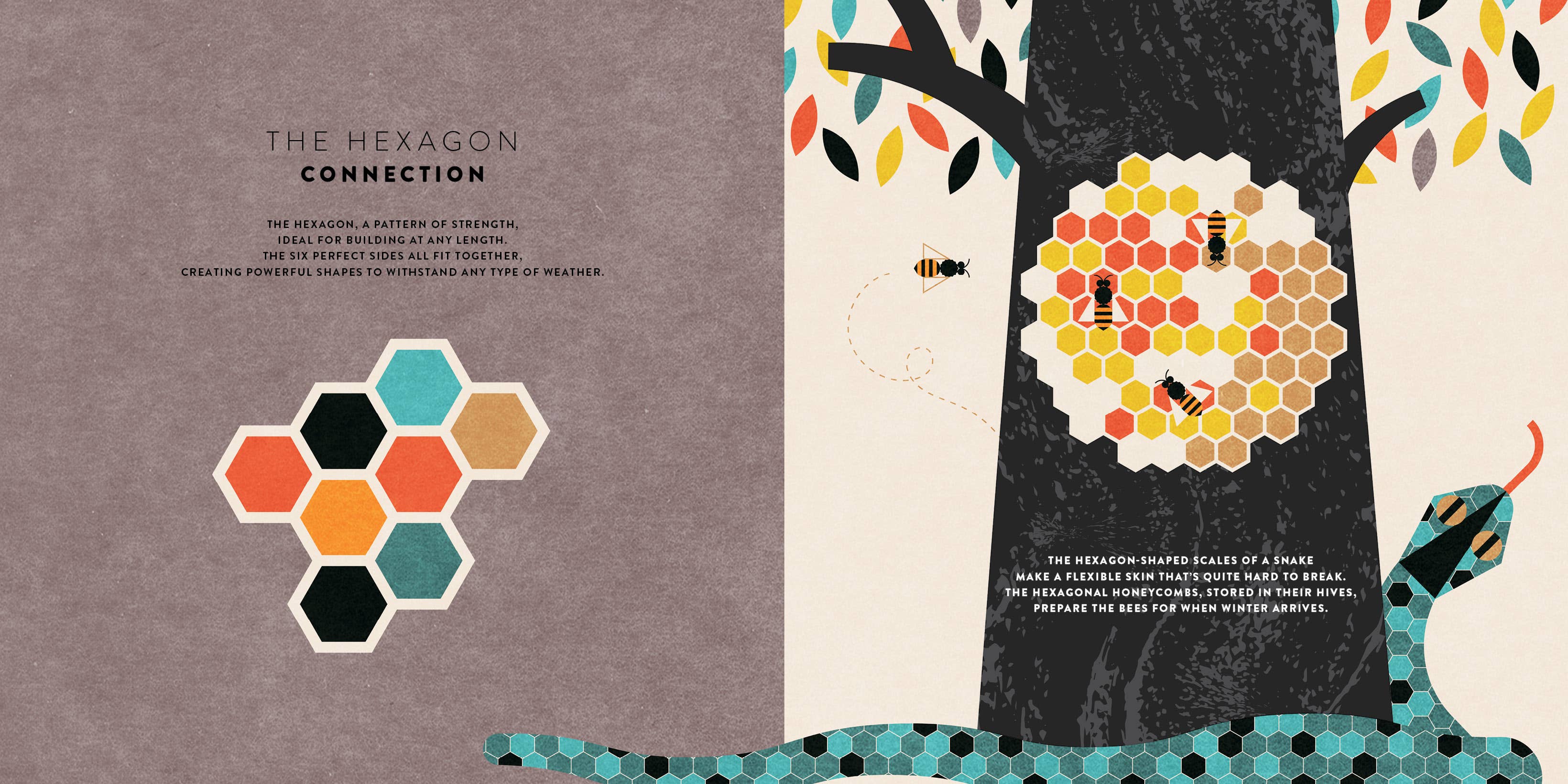 The Mathematics of the Universe