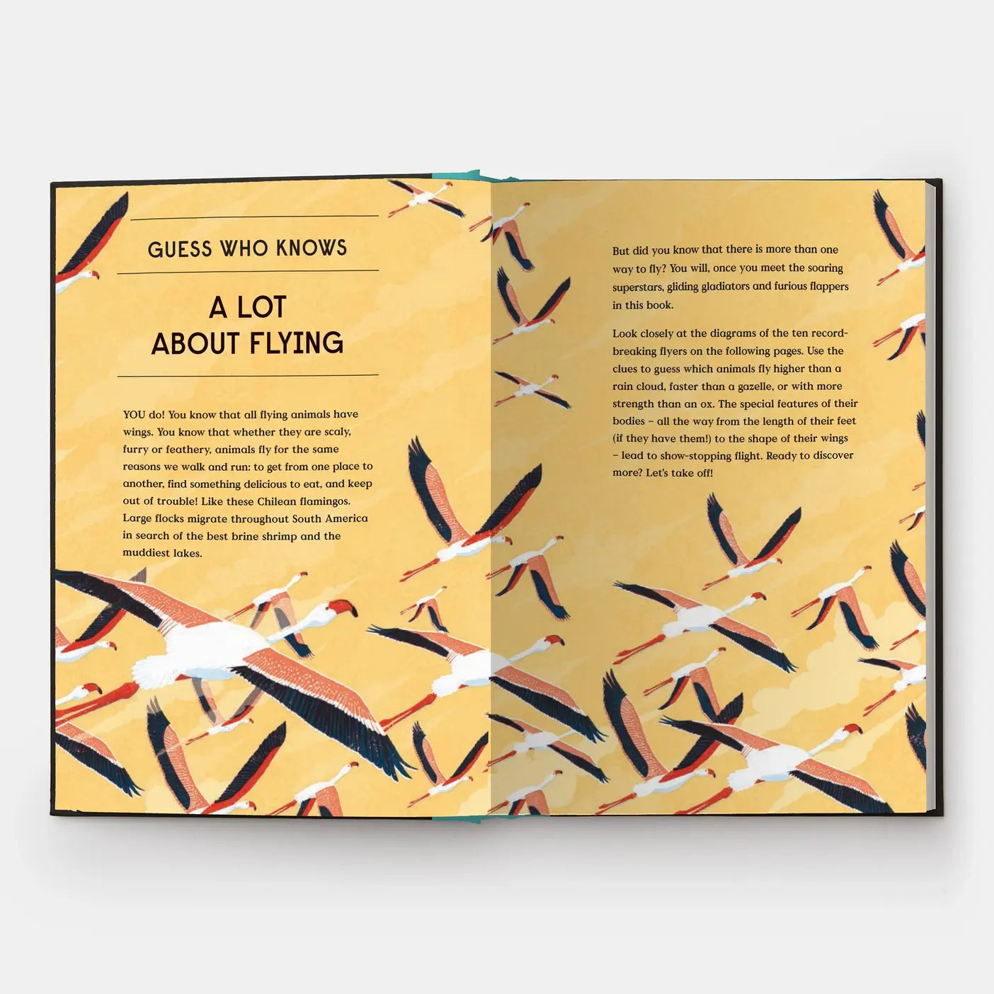 Book Of Flight: 10 Record-Breaking Animals With Wings