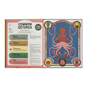 Superpowered Animals