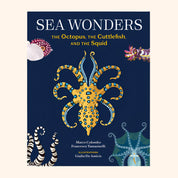 Sea Wonders