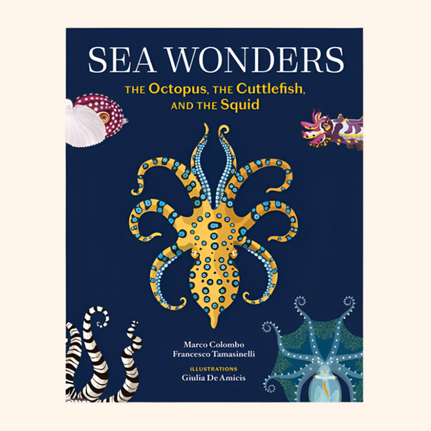 Sea Wonders