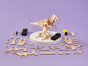 Dinosaur Robot DIY Craft Kit