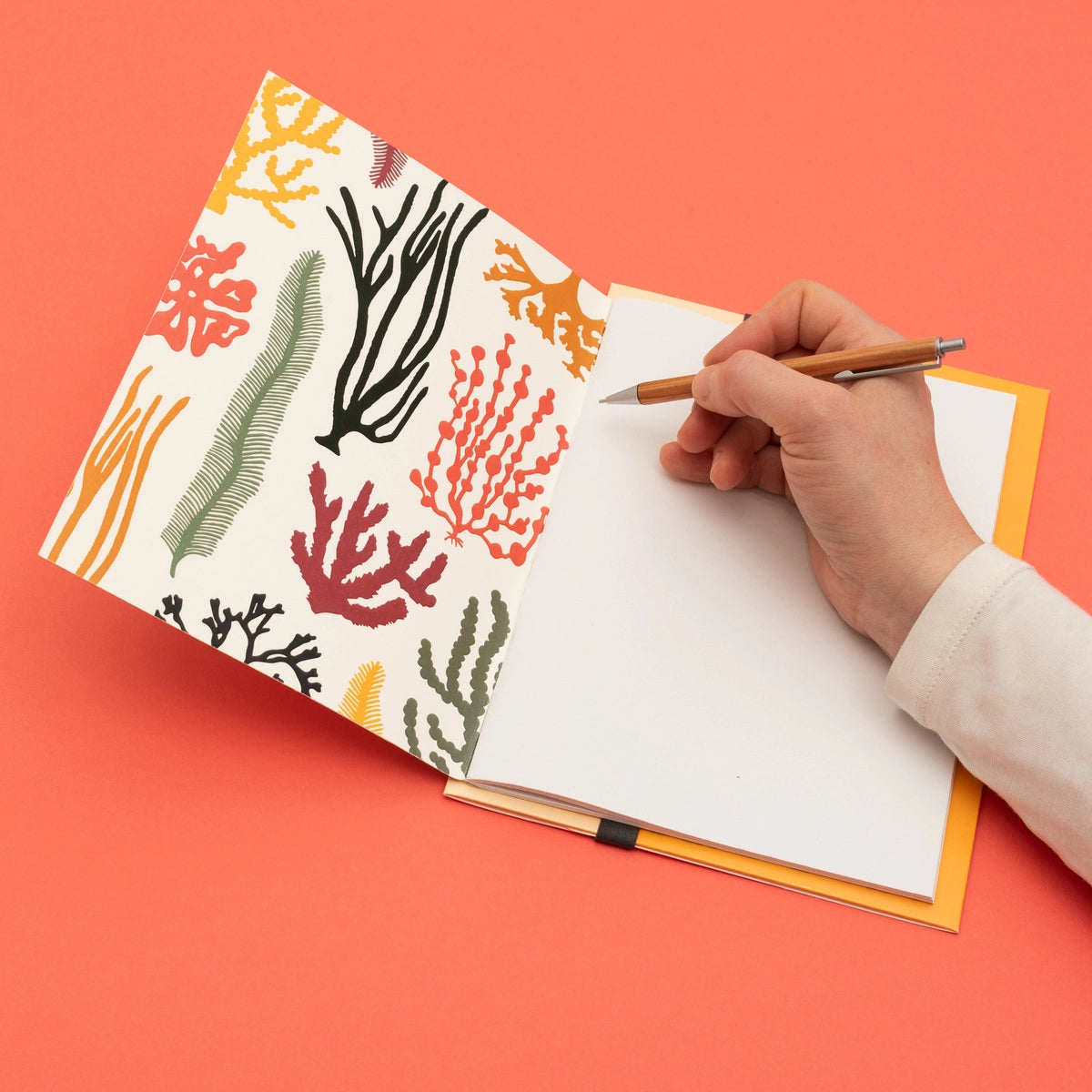 Seaweed Notebook + Folder