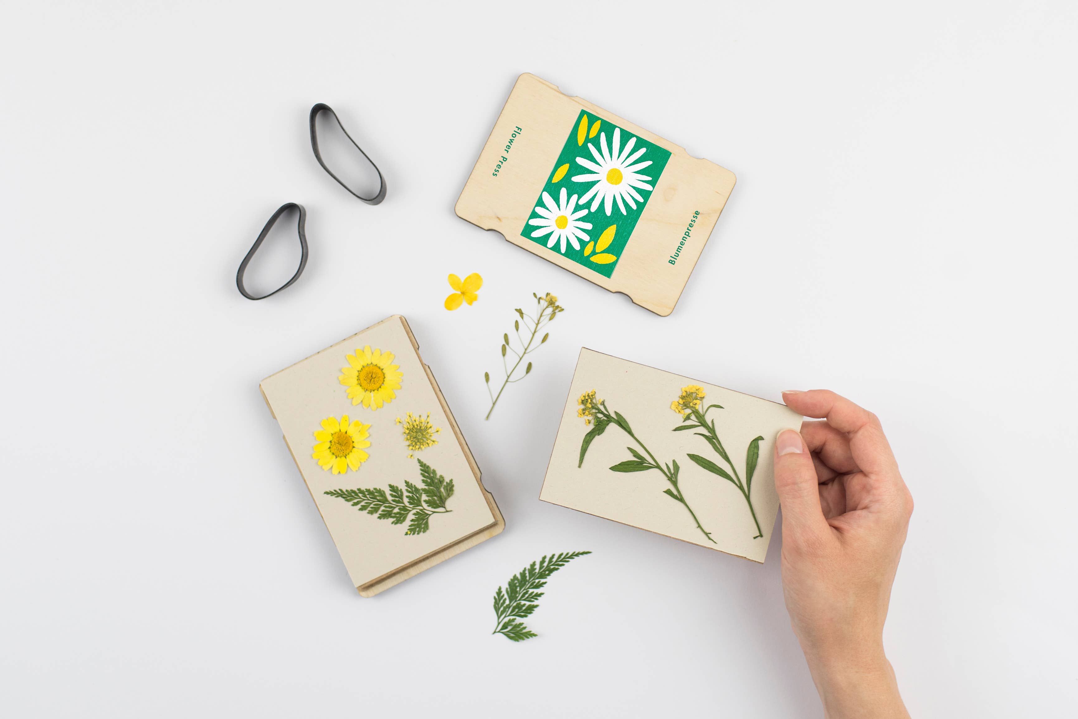 Pocket Flower Press - Daisy