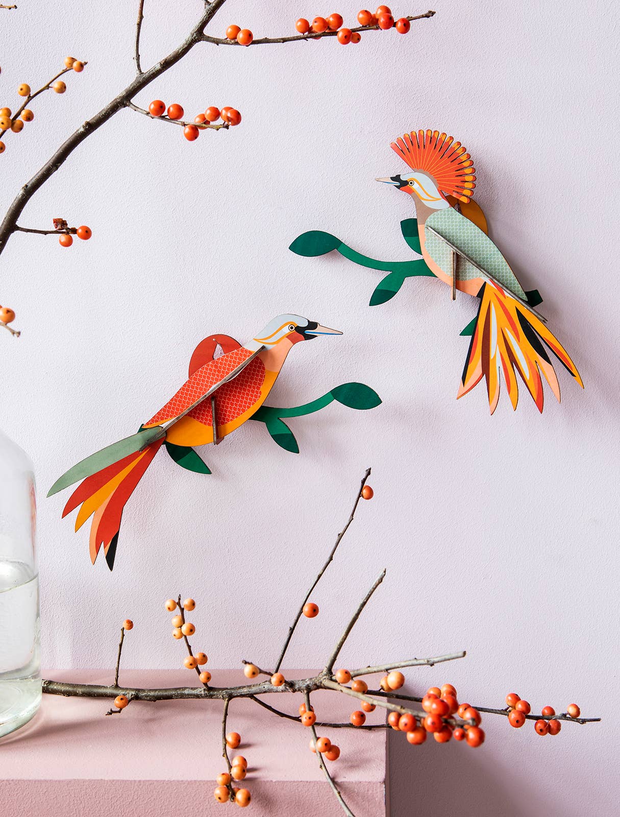 Obi Paradise Bird - 3D Paper Craft Kit