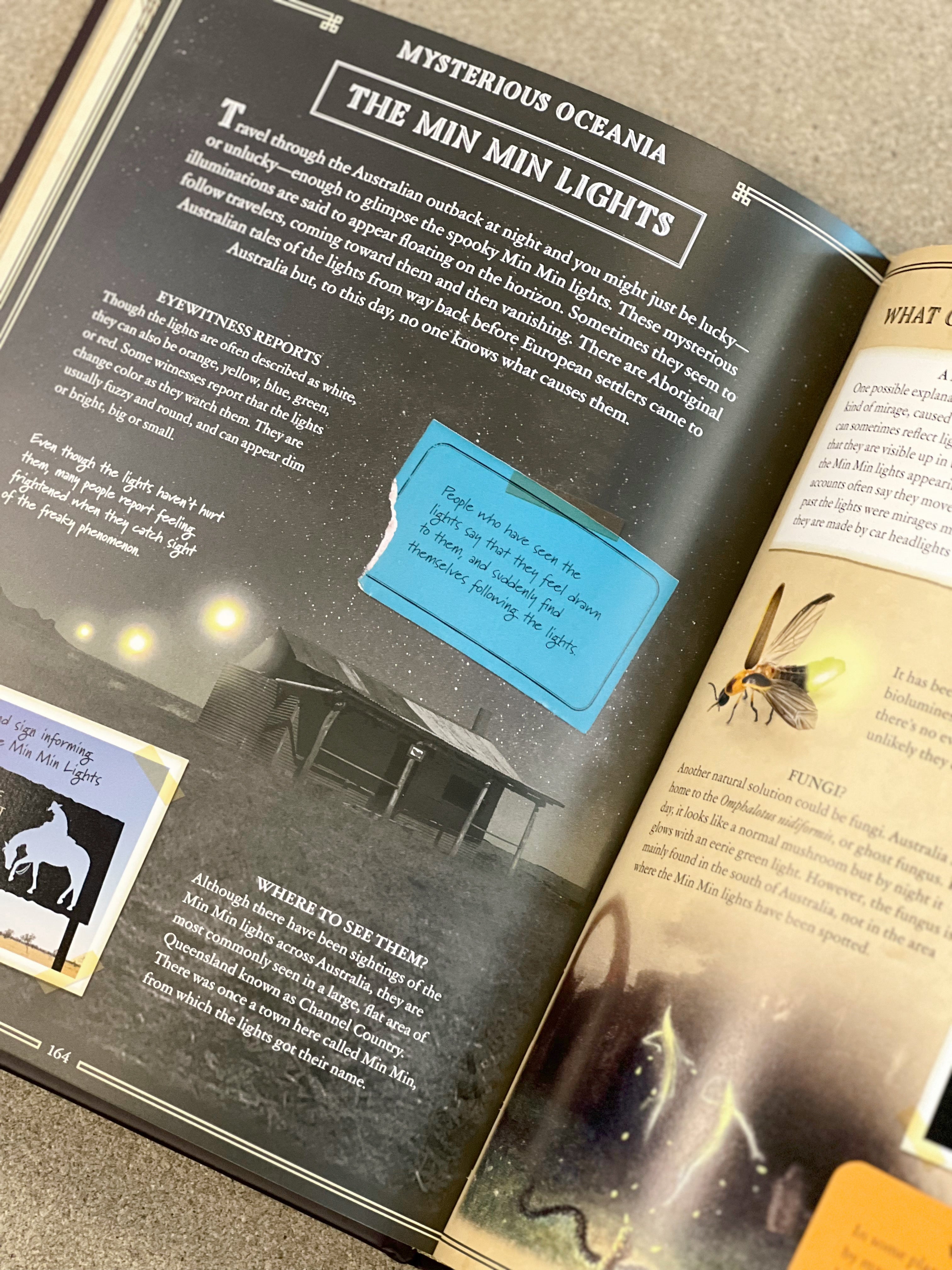 Lonely Planet Kids Mysterious World