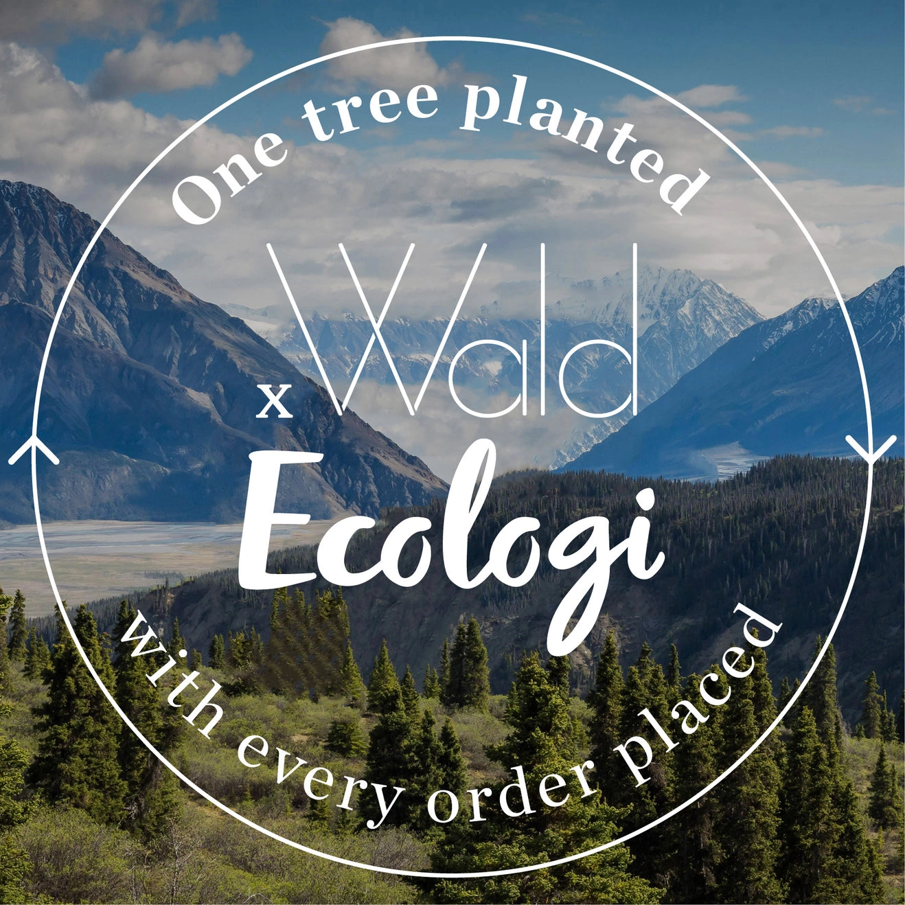 Eucalyptus All Occasion Greeting Card