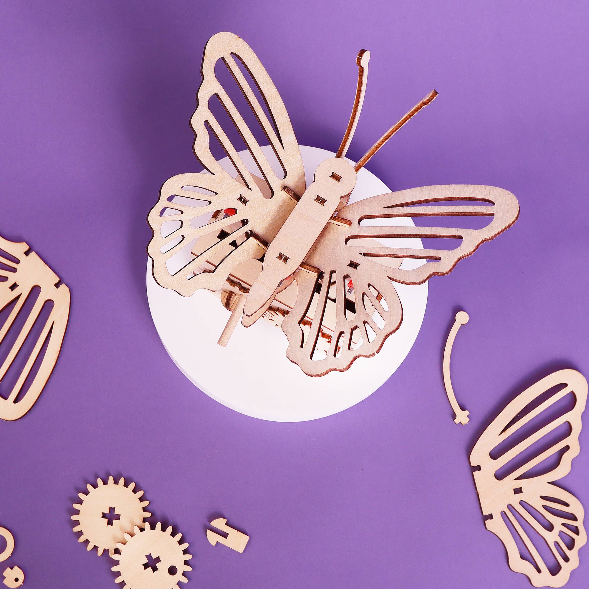 Fluttering Butterfly DIY Craft Kit