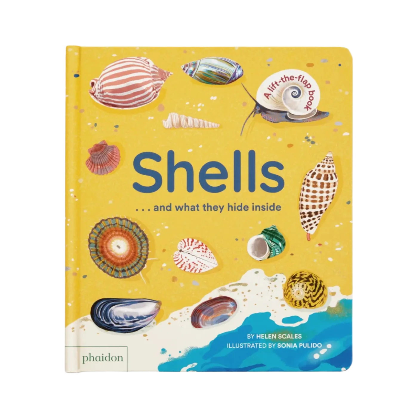 Shells... And What They Hide Inside