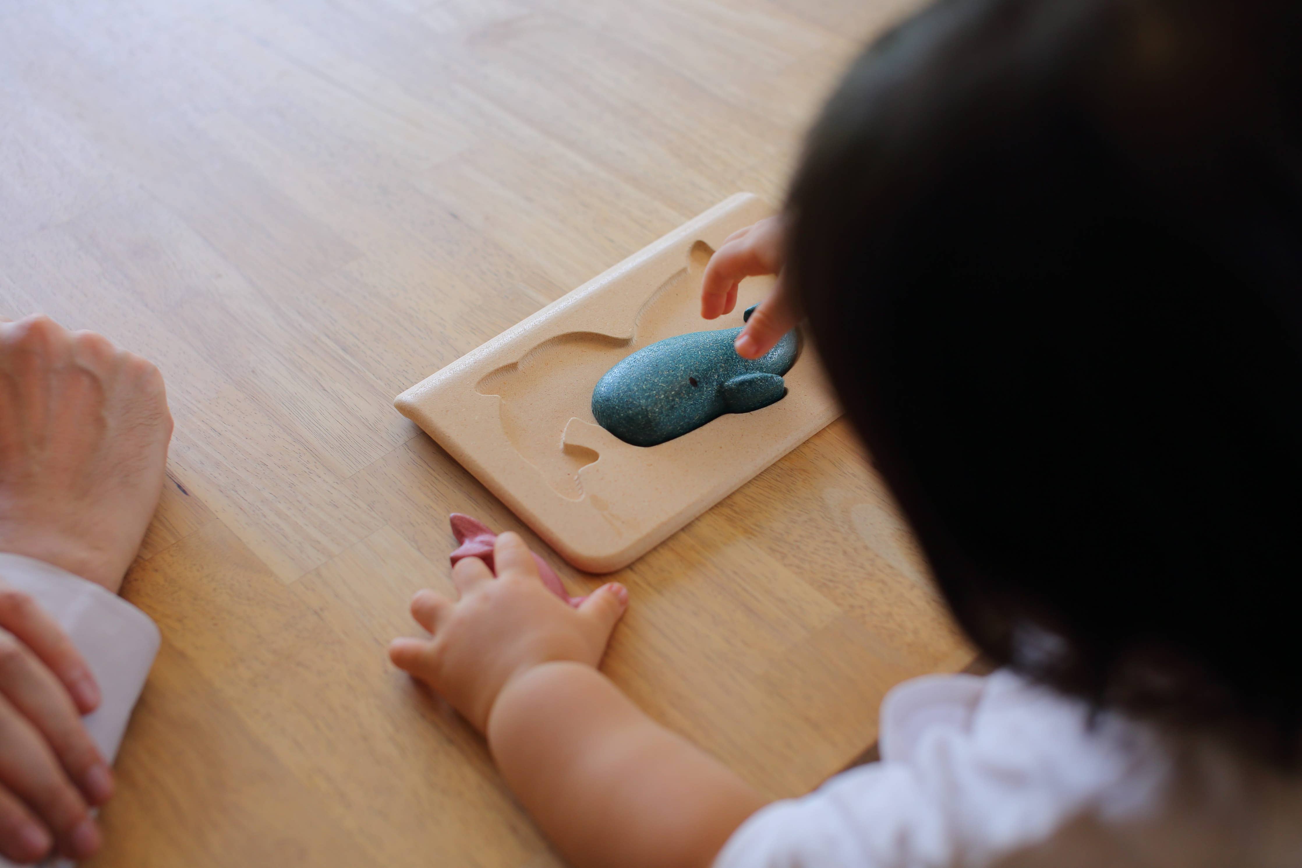 Sea Life Eco Friendly Puzzle
