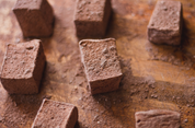 Cocoa Dipped Marshmallows