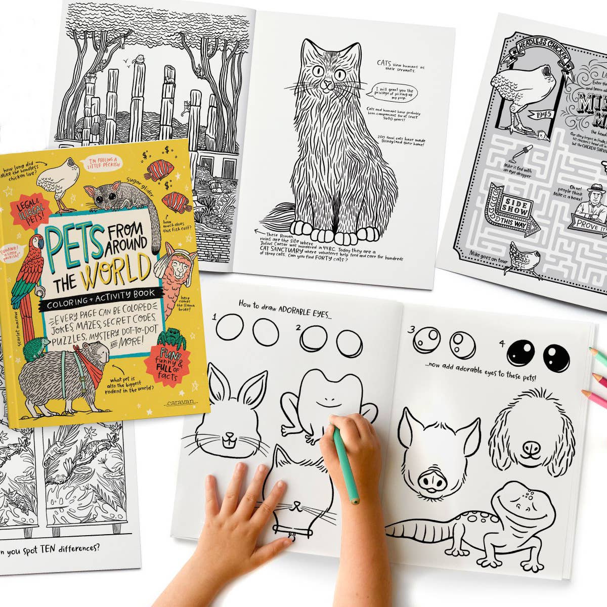 Your Very Favorite Activity Book