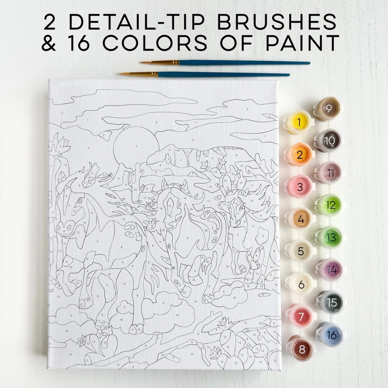 Wild Horses Paint By Numbers Kit
