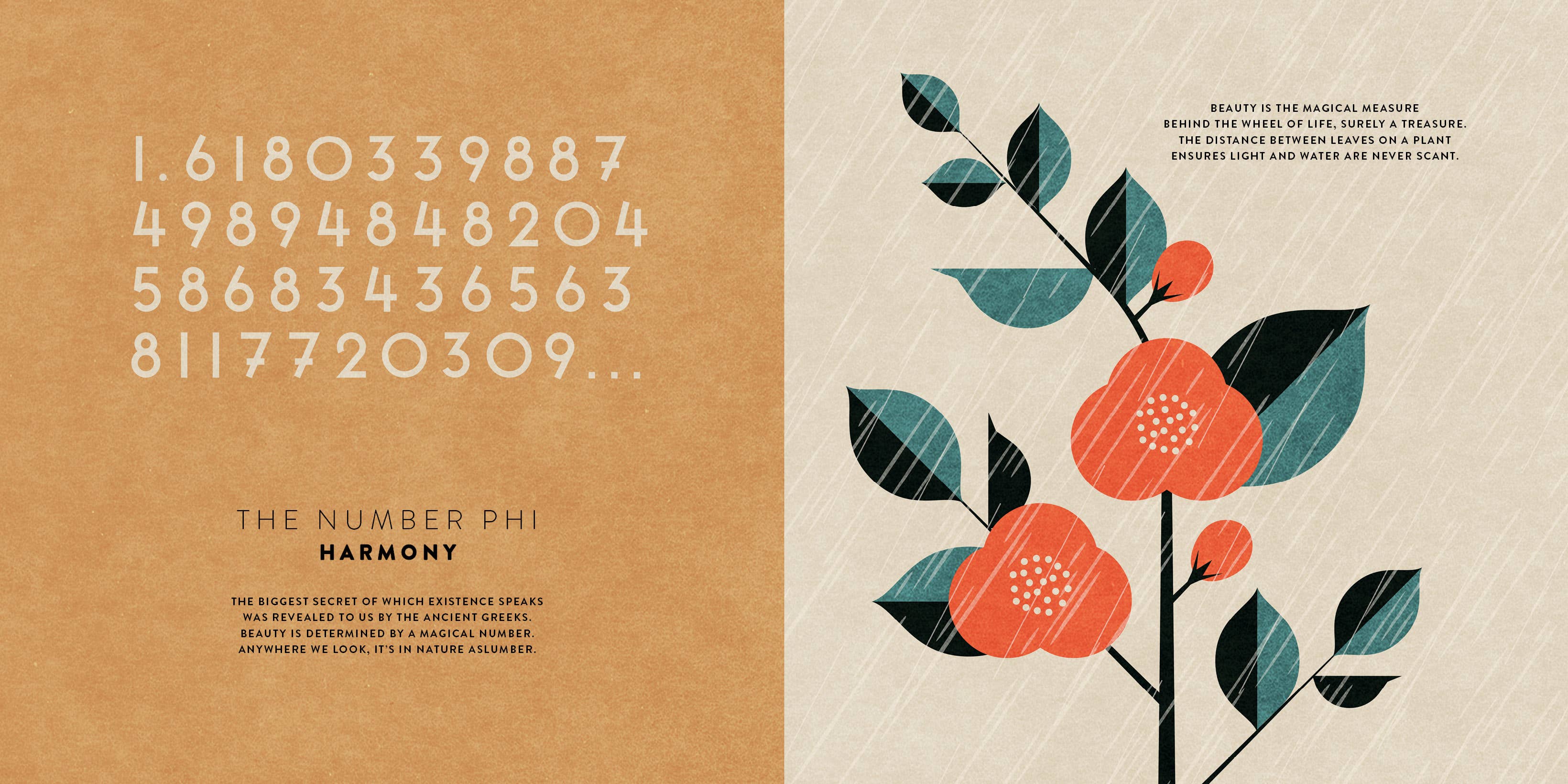 The Mathematics of the Universe