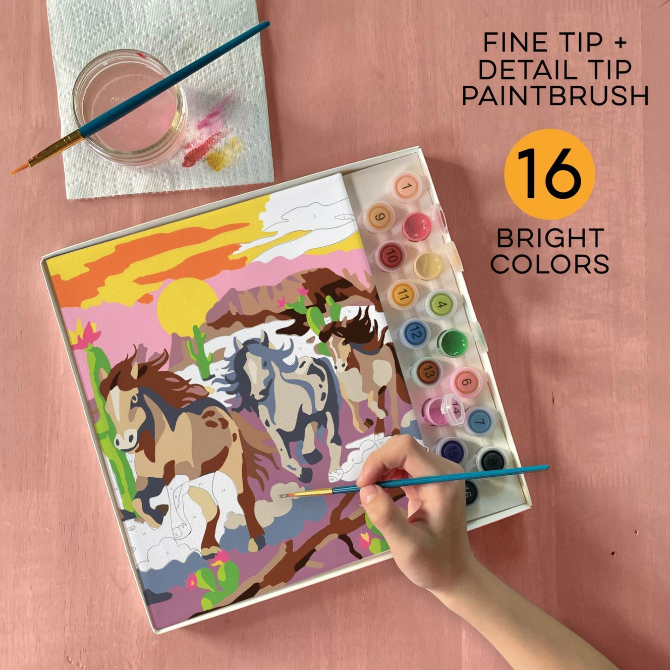 Wild Horses Paint By Numbers Kit