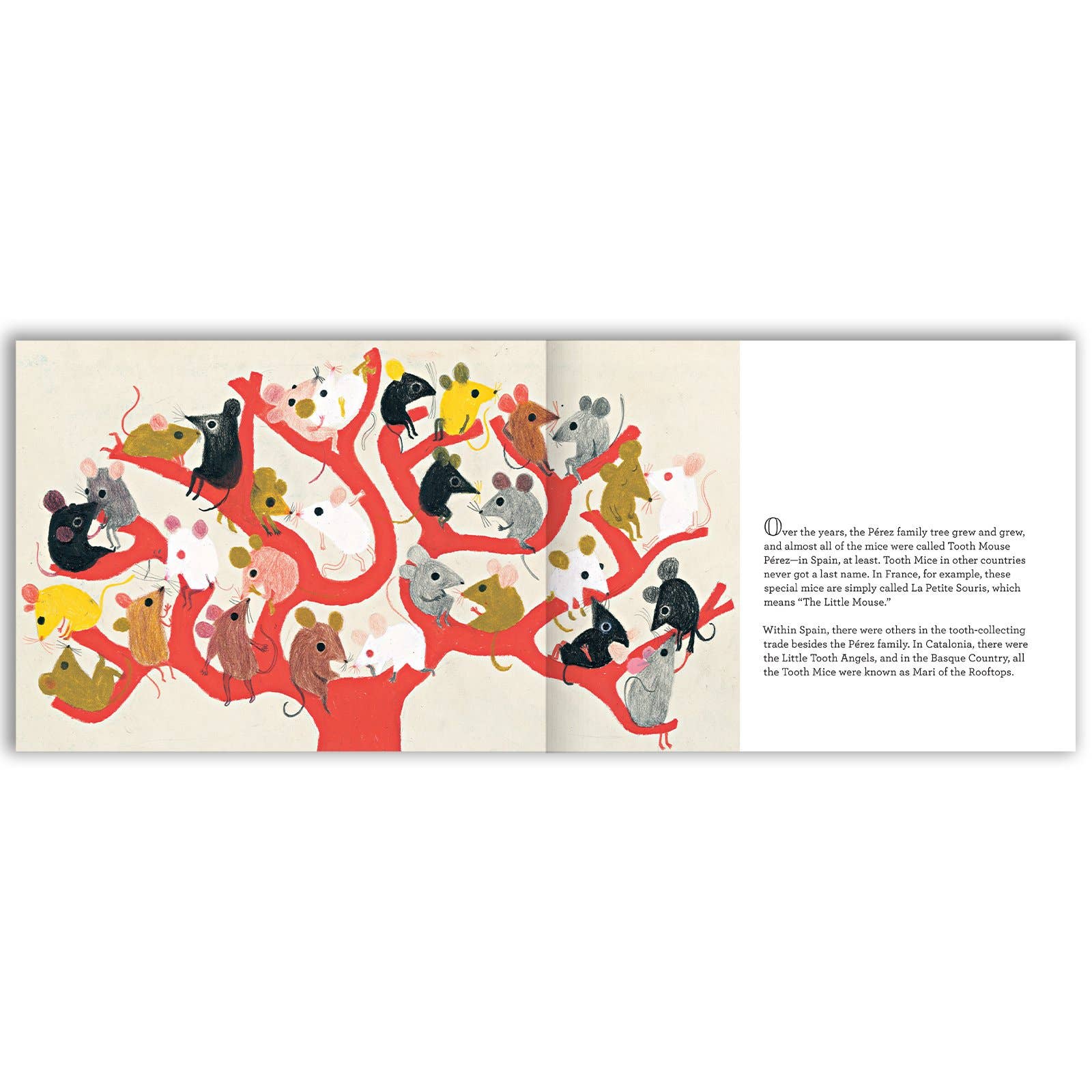 The Amazing and True Story of Tooth Mouse Pérez