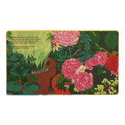 Shells... And What They Hide Inside