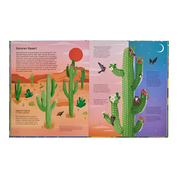 A Home For Every Plant: Wonders Of The Botanical World