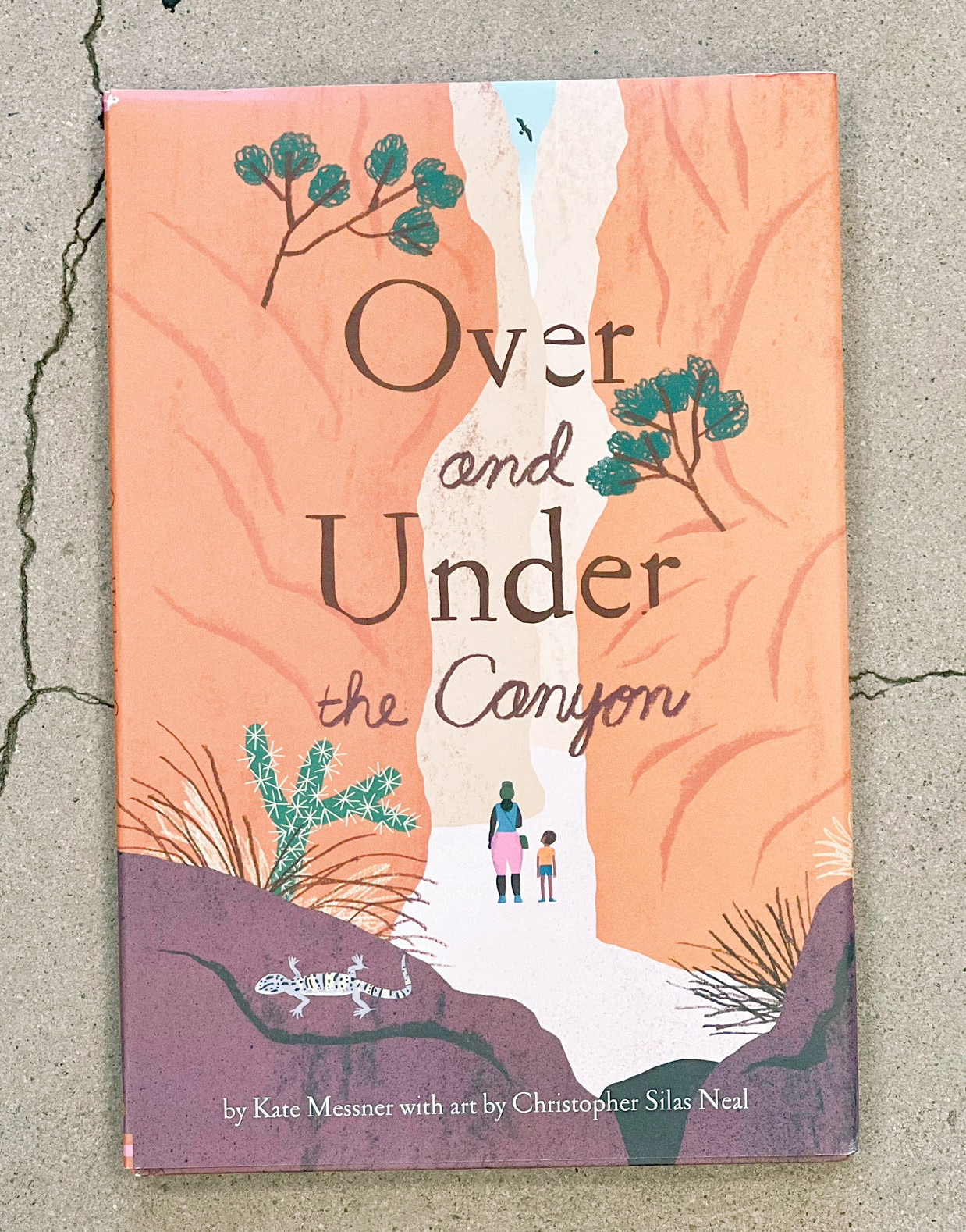 Over and Under the Canyon