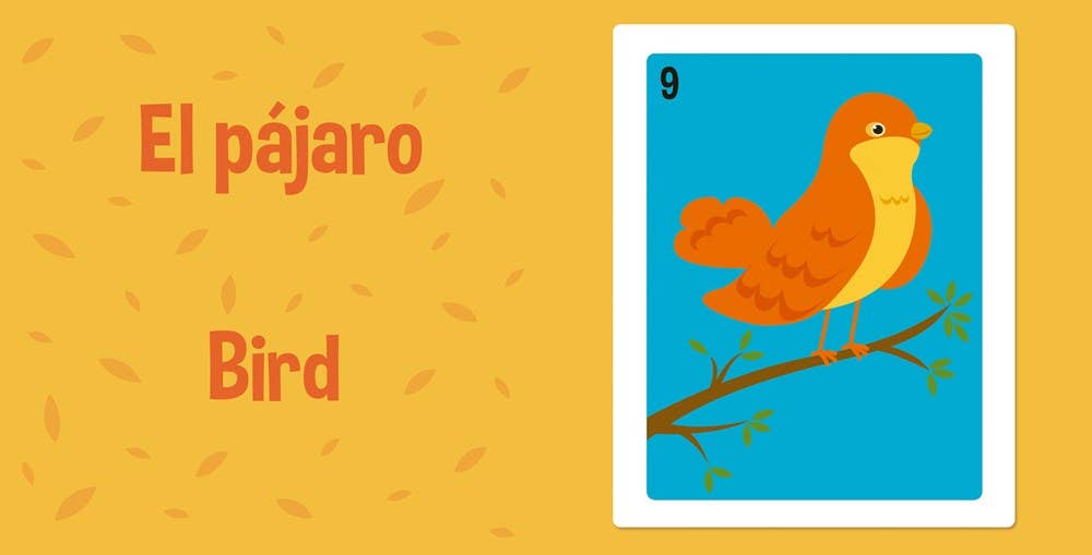 Loteria: First Words - A Bilingual Picture Book