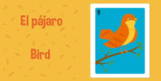 Loteria: First Words - A Bilingual Picture Book