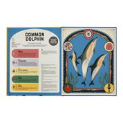 Superpowered Animals