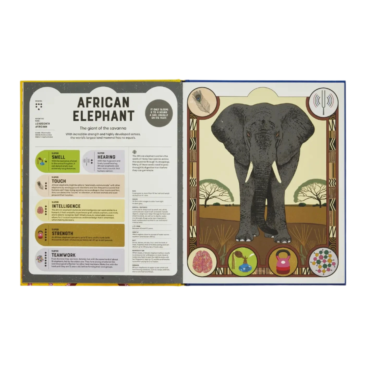 Superpowered Animals