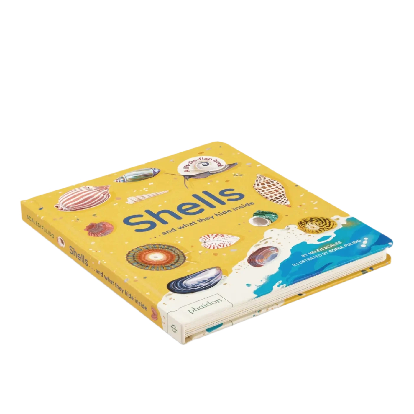 Shells... And What They Hide Inside