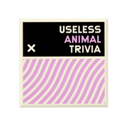 Useless Animal Trivia Game