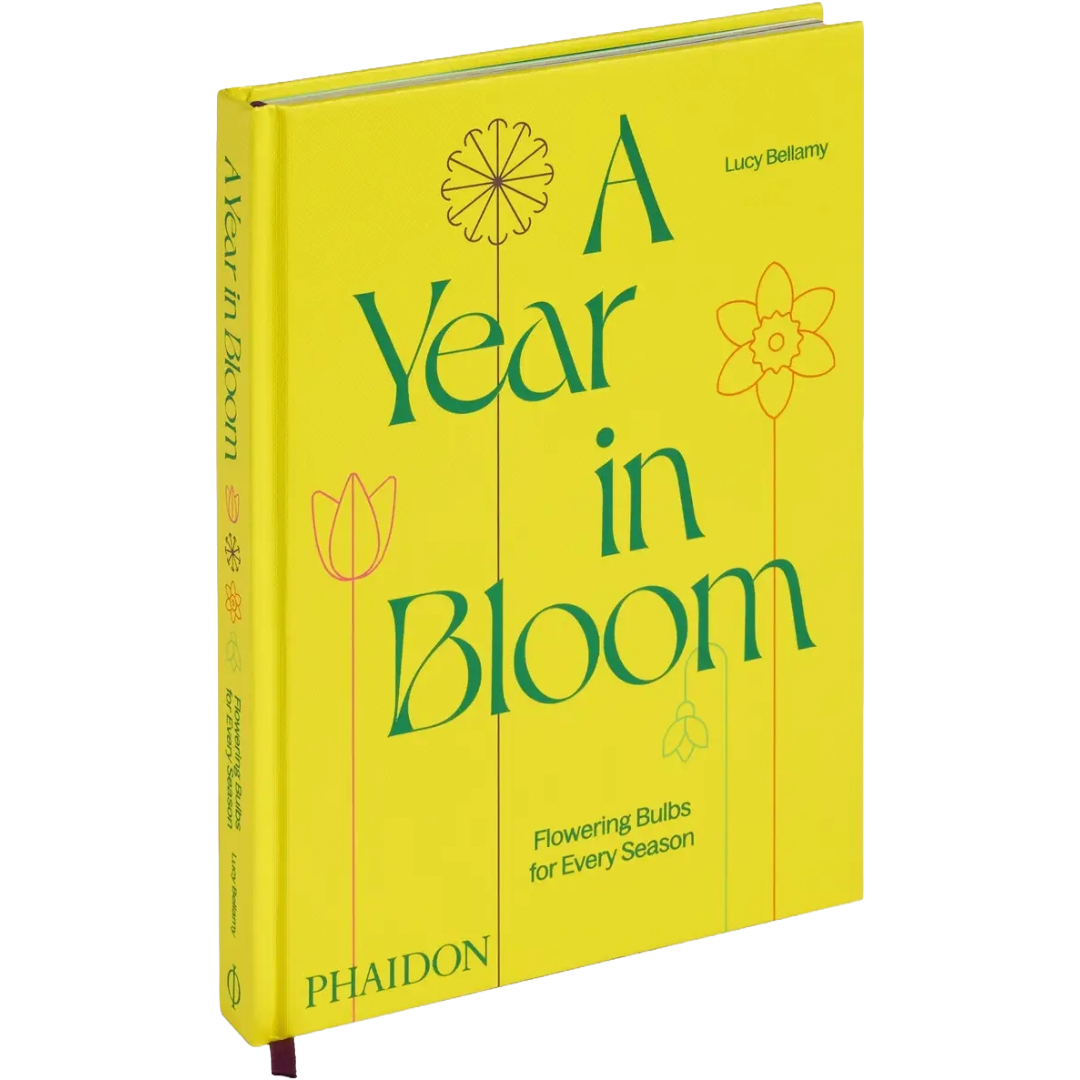 A Year In Bloom: Flowering Bulbs For Every Season