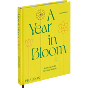 A Year In Bloom: Flowering Bulbs For Every Season