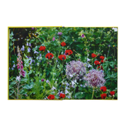 A Year In Bloom: Flowering Bulbs For Every Season