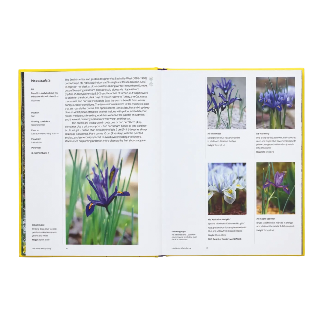 A Year In Bloom: Flowering Bulbs For Every Season