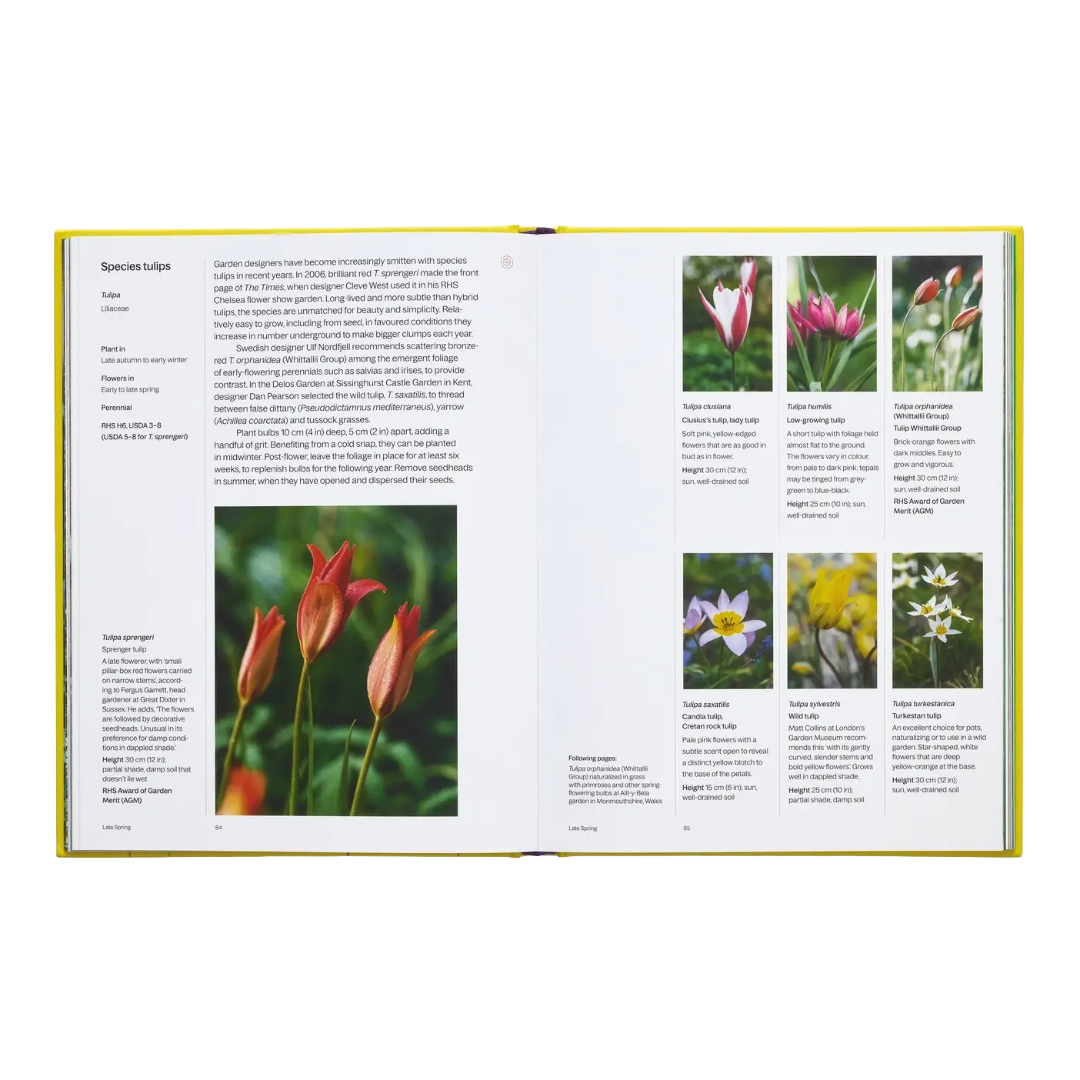 A Year In Bloom: Flowering Bulbs For Every Season