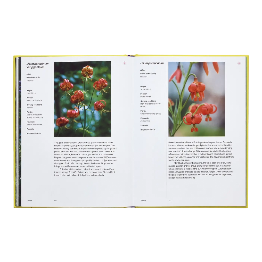 A Year In Bloom: Flowering Bulbs For Every Season