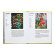 A Year In Bloom: Flowering Bulbs For Every Season