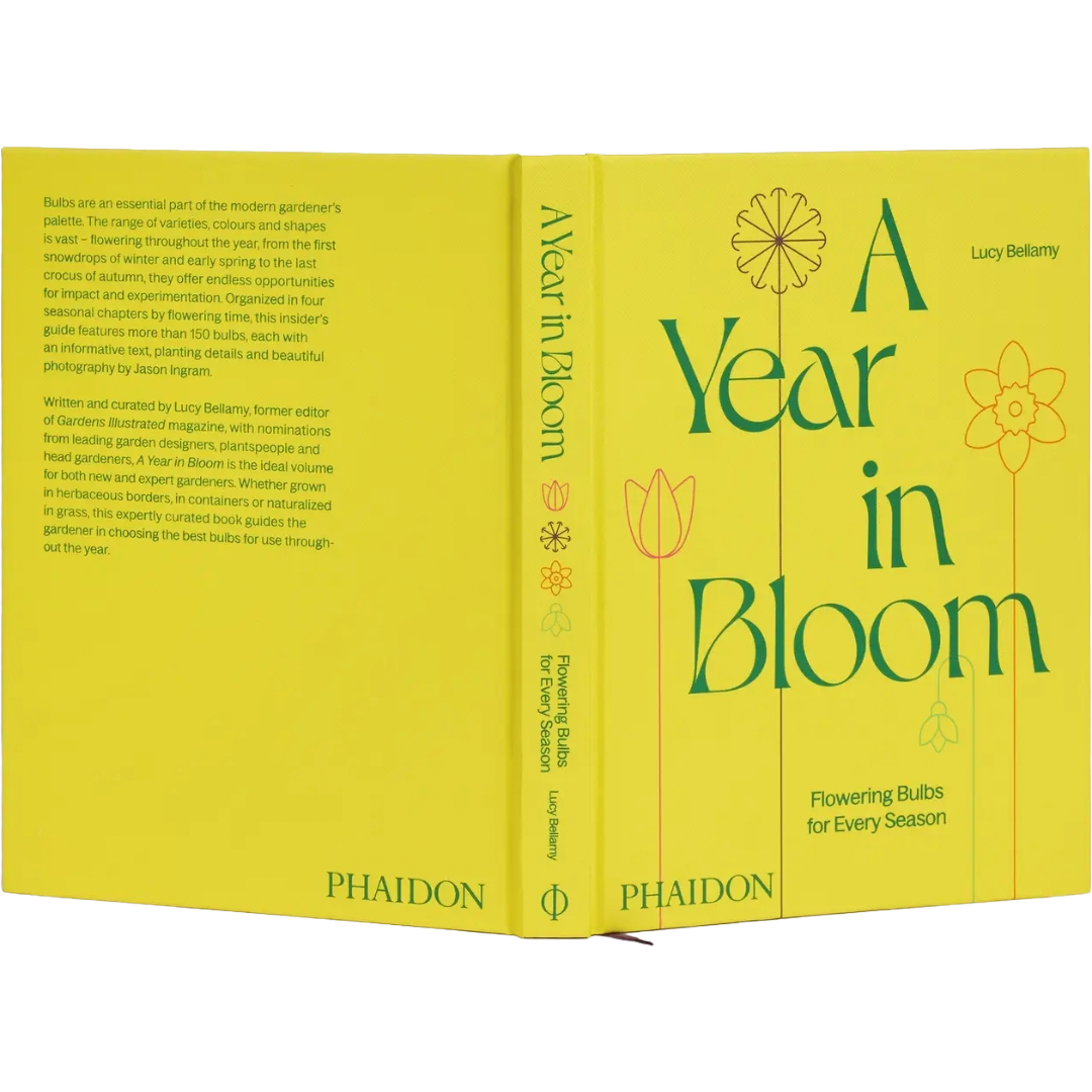 A Year In Bloom: Flowering Bulbs For Every Season