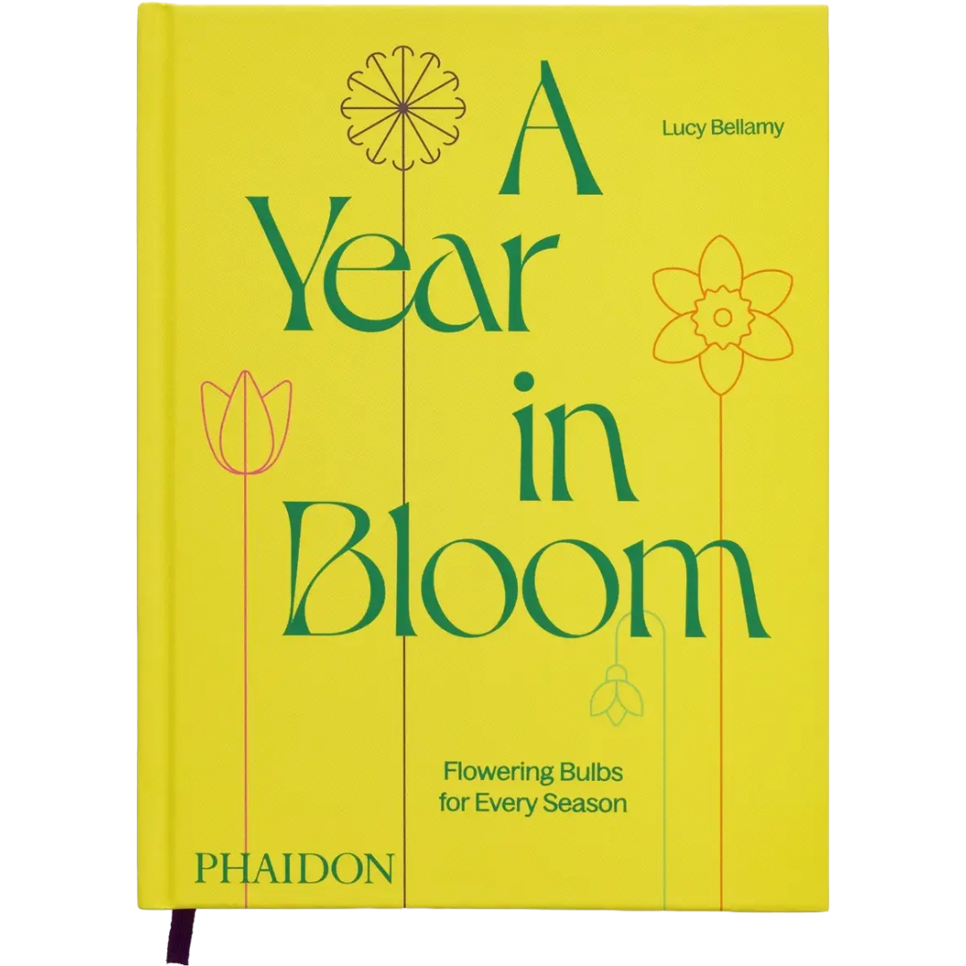A Year In Bloom: Flowering Bulbs For Every Season