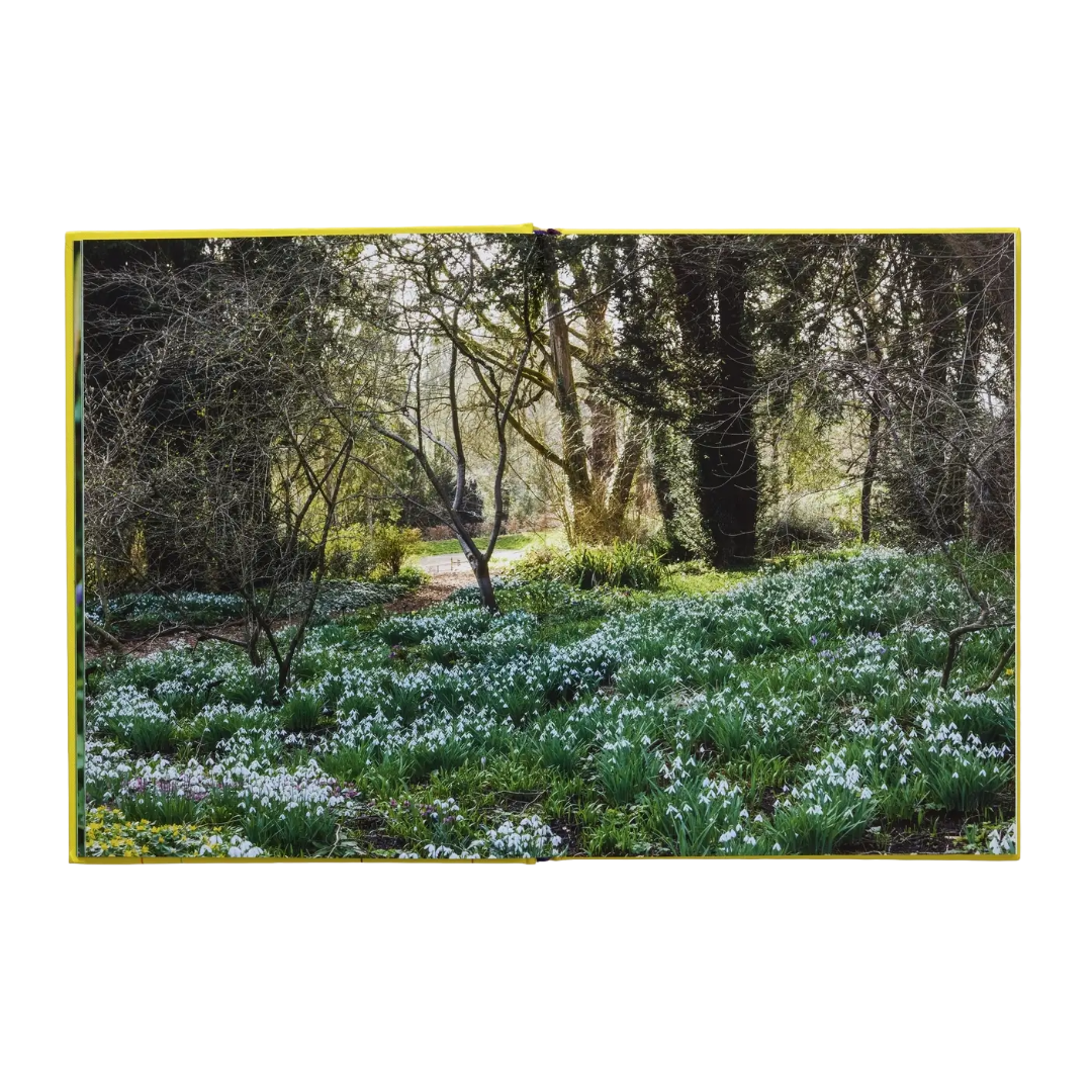 A Year In Bloom: Flowering Bulbs For Every Season
