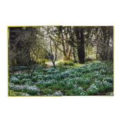 A Year In Bloom: Flowering Bulbs For Every Season