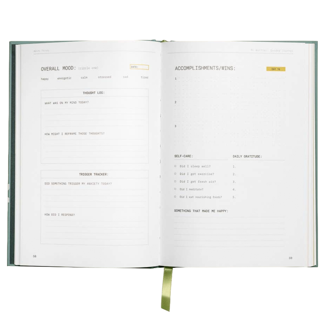 No Worries: A Guided Journal to Help You Calm Anxiety