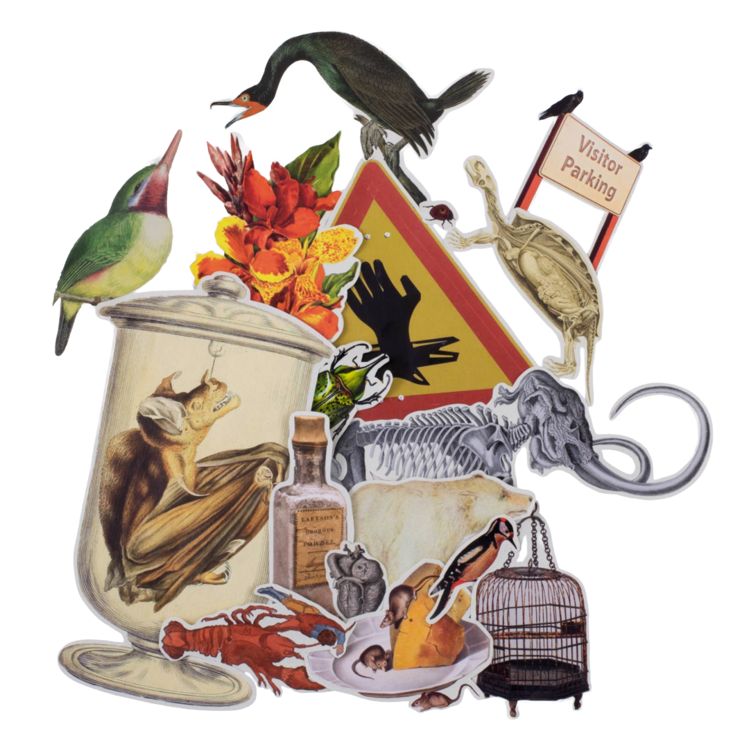 Cut Up This Book and Create Your Own Underworld