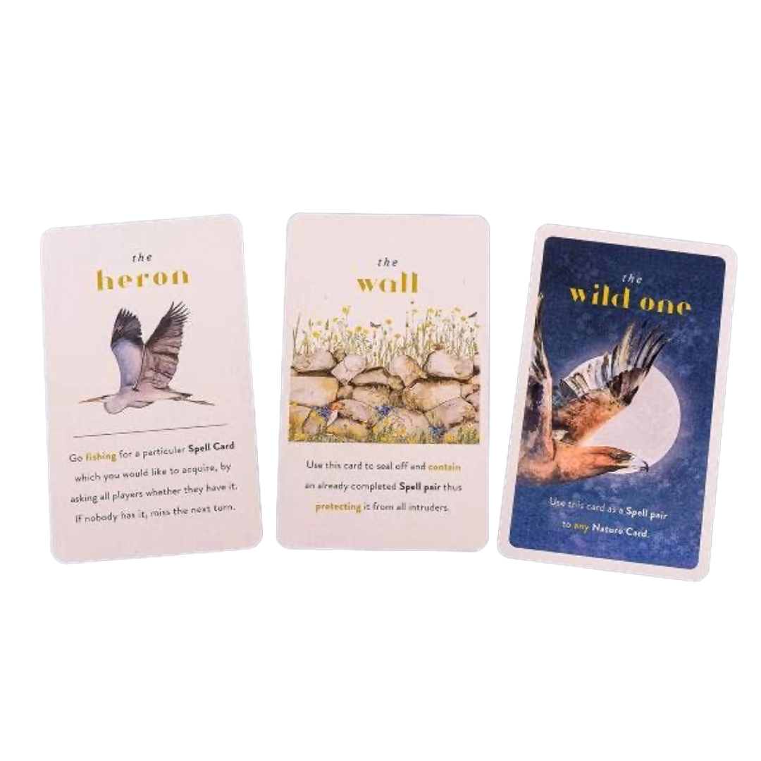 The Lost Words Card Game