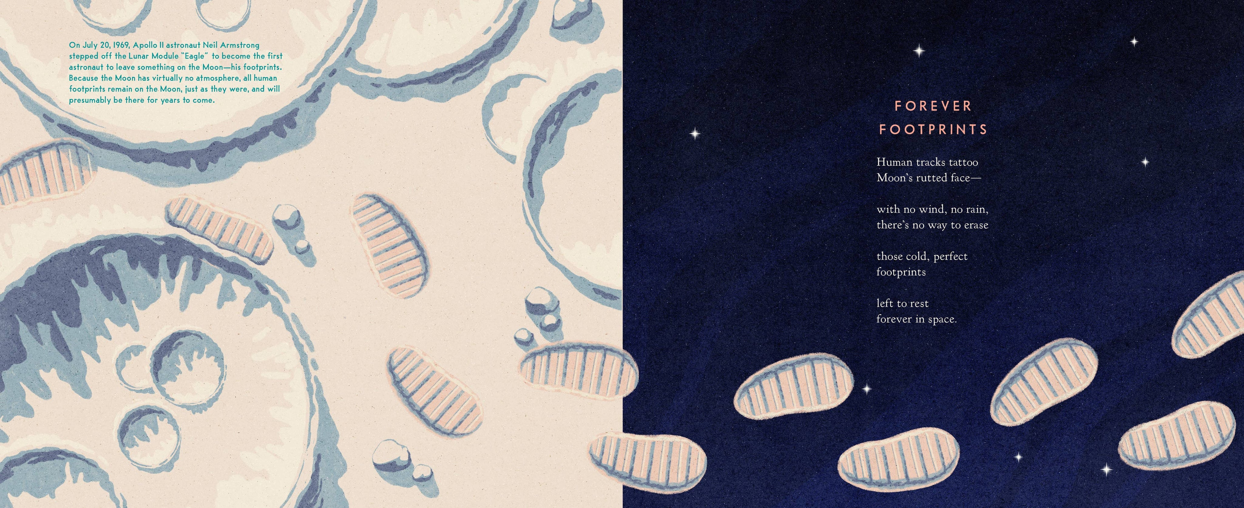 The Museum on the Moon (Children's Book)