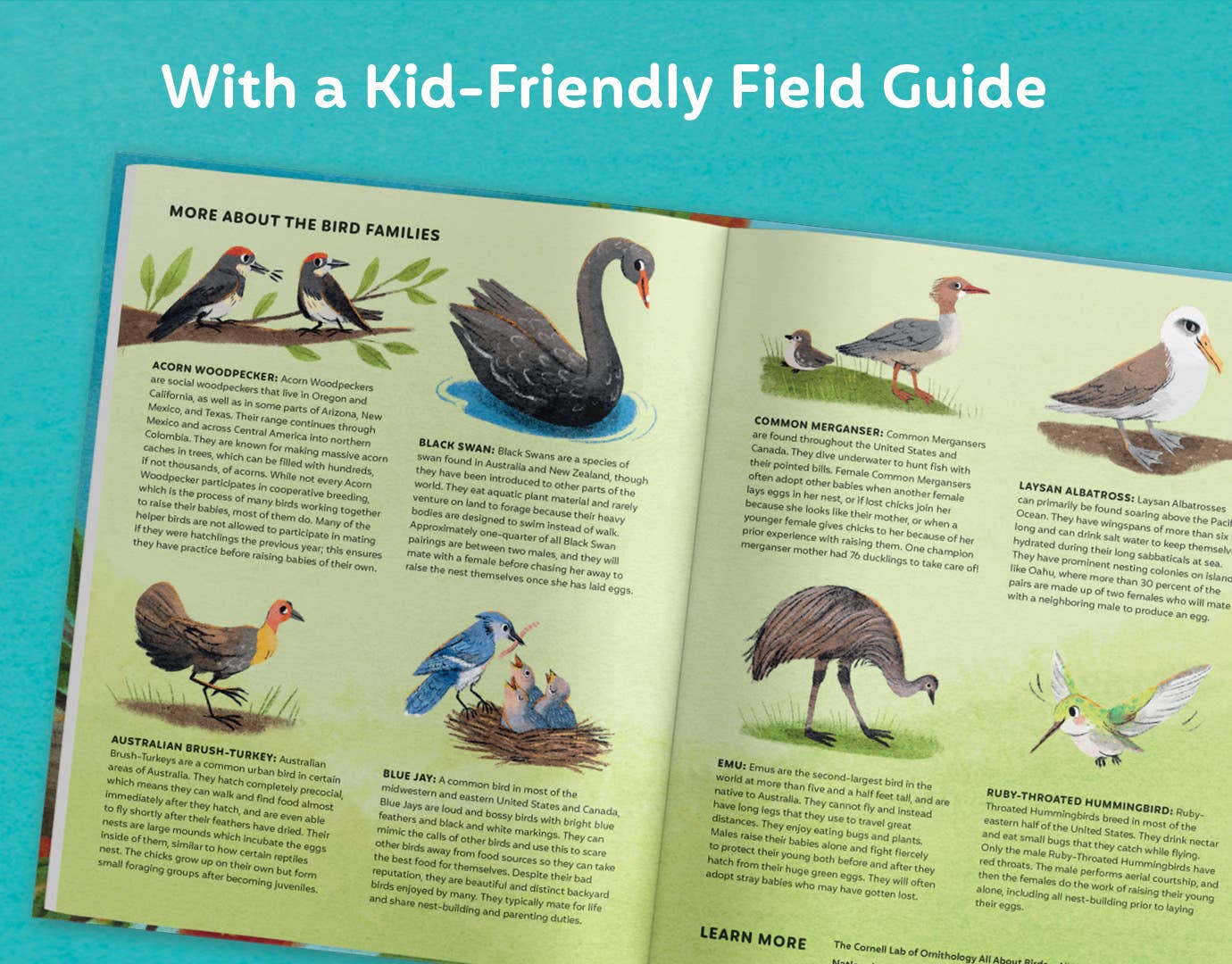 Families of a Feather: A Celebration of Family Diversity